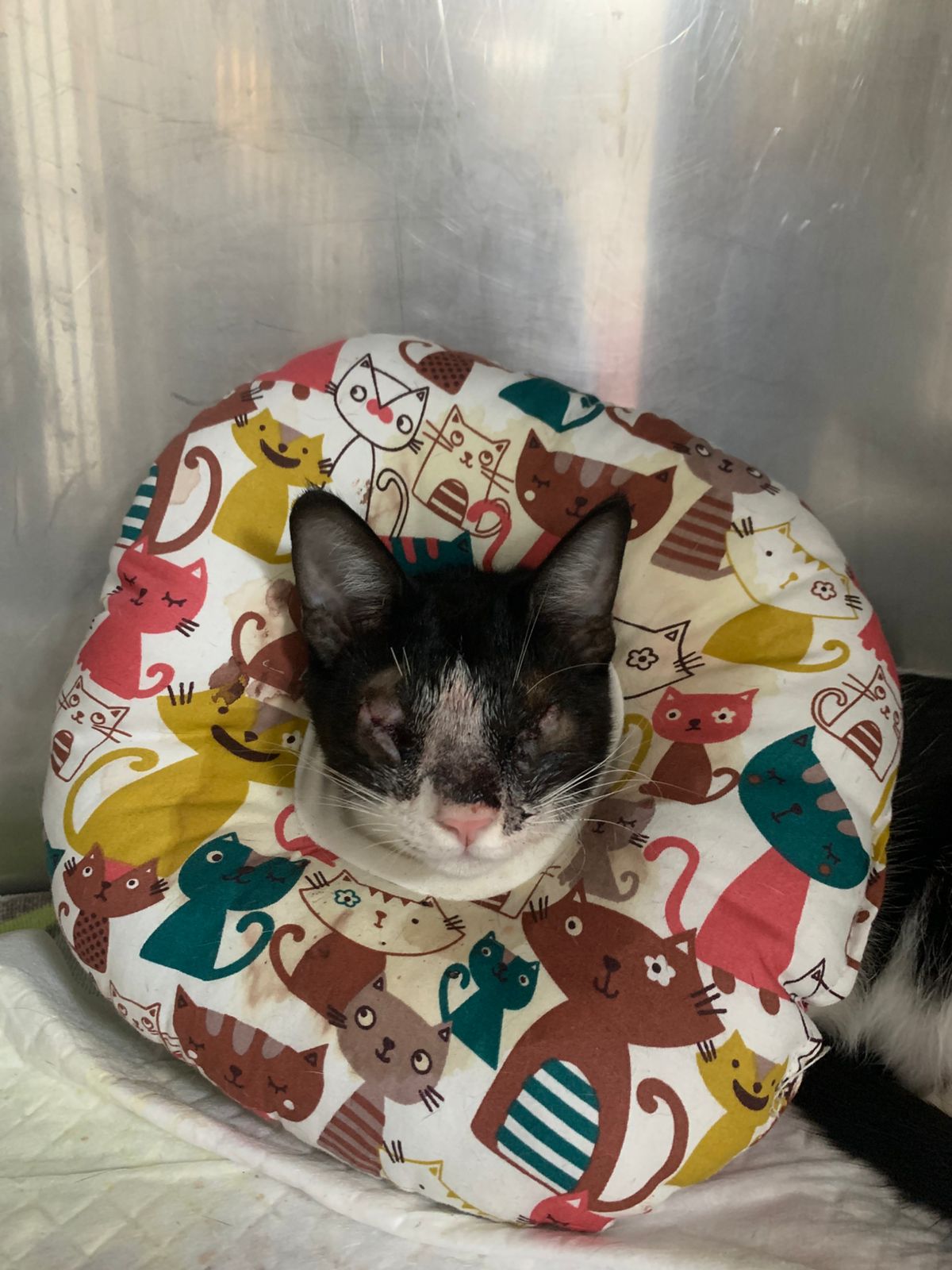 WhatsApp Image 2025-11-28 at 08.41.43