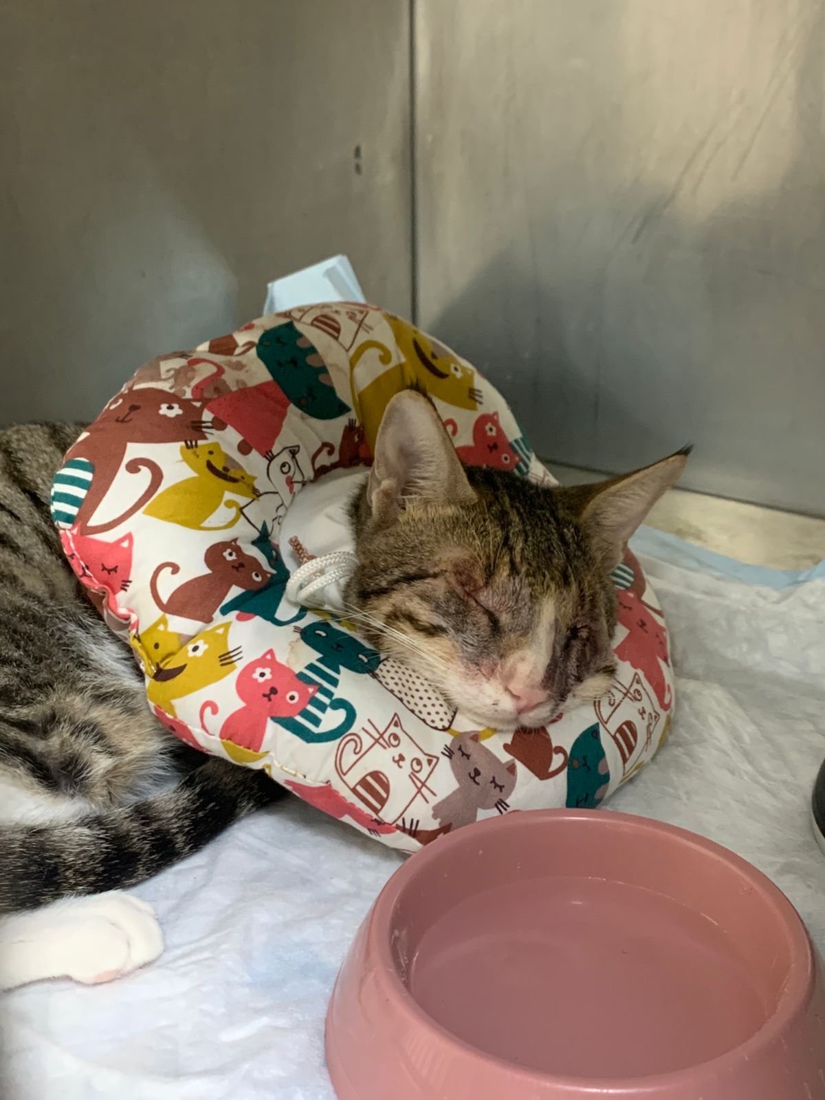 WhatsApp Image 2025-11-28 at 08.41.44