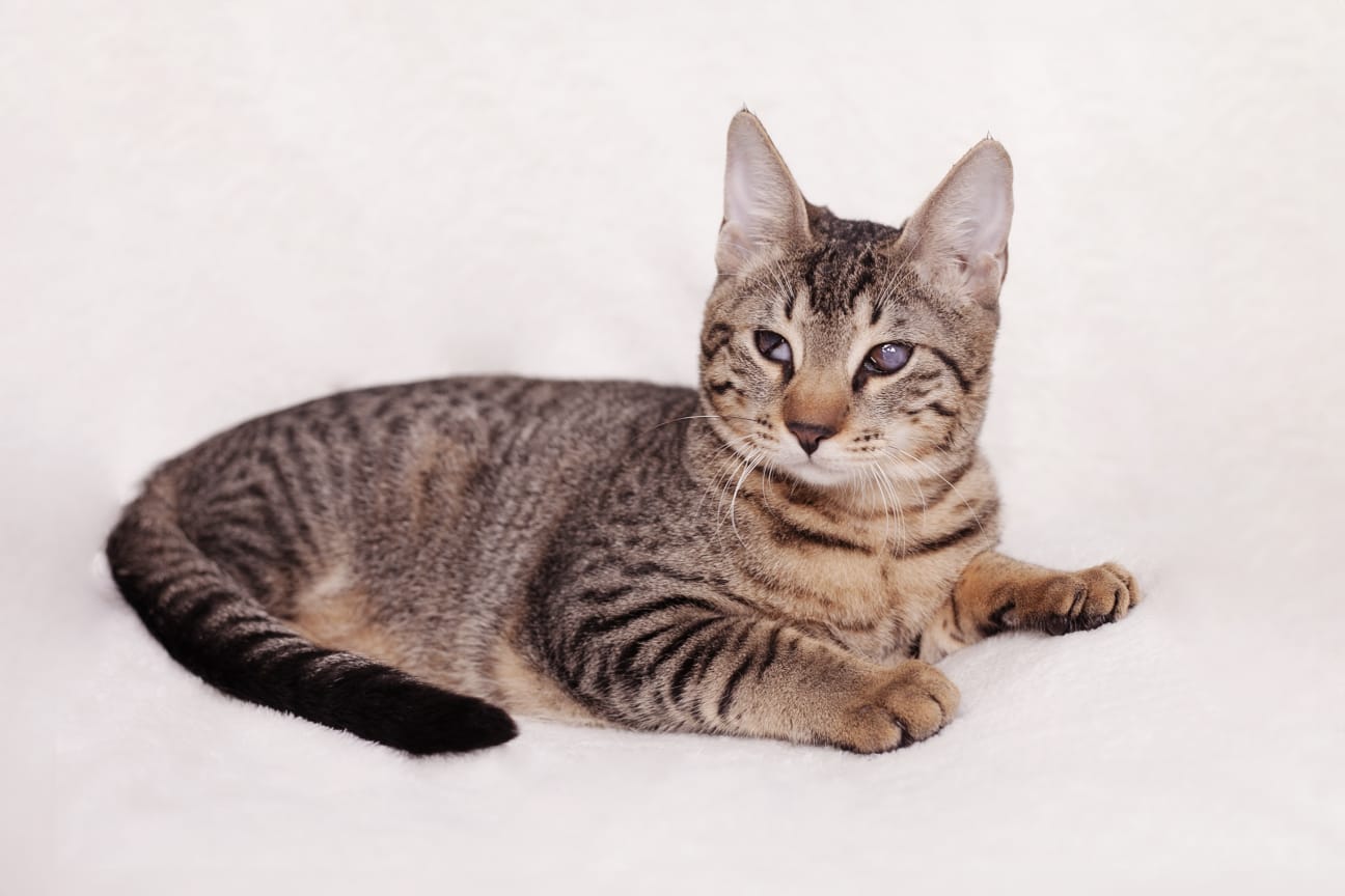 WhatsApp Image 2025-12-21 at 09.41.57