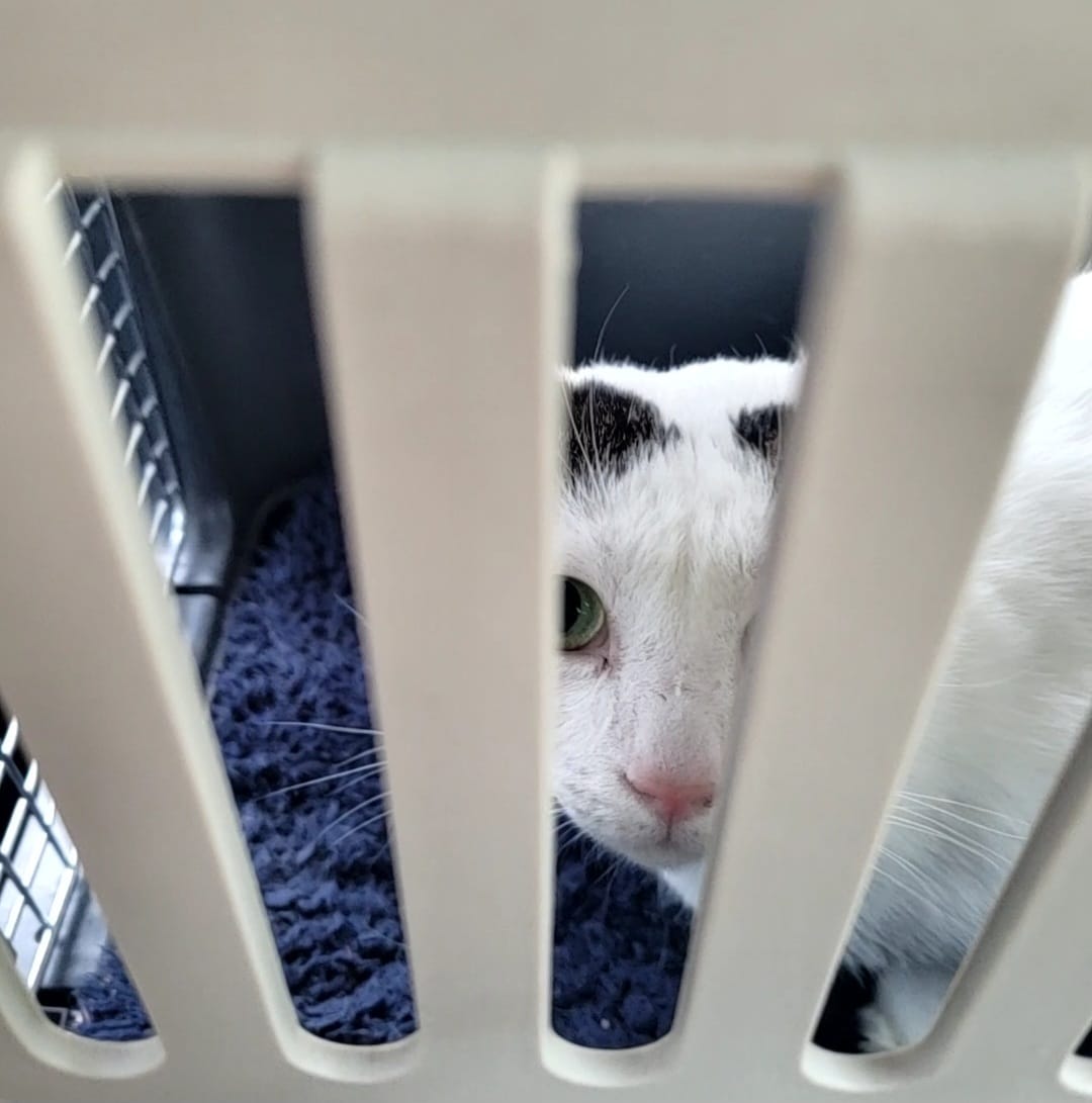 WhatsApp Image 2026-01-09 at 14.56.09